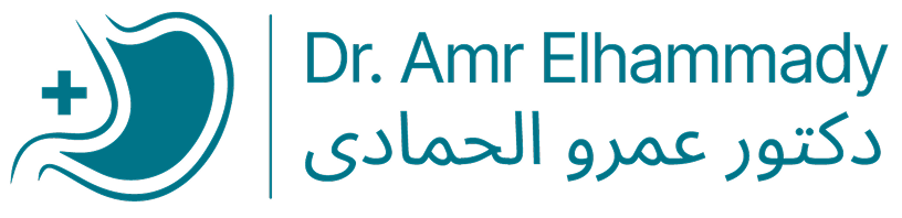 Dr Amr El Hamady
